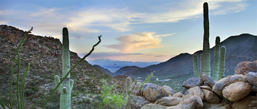 Canyon Pass, Dove Mountain