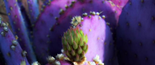 Rita Ranch Tucson, Arizona